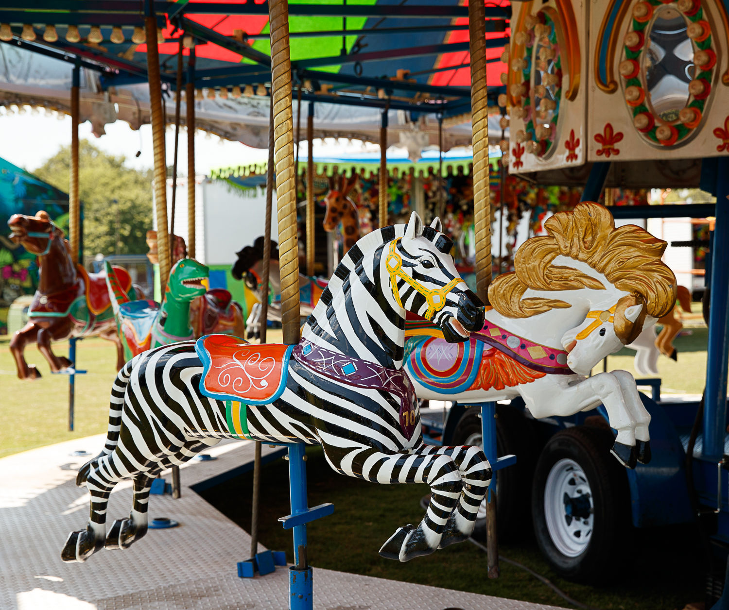 2019 Arlington County Fair 6